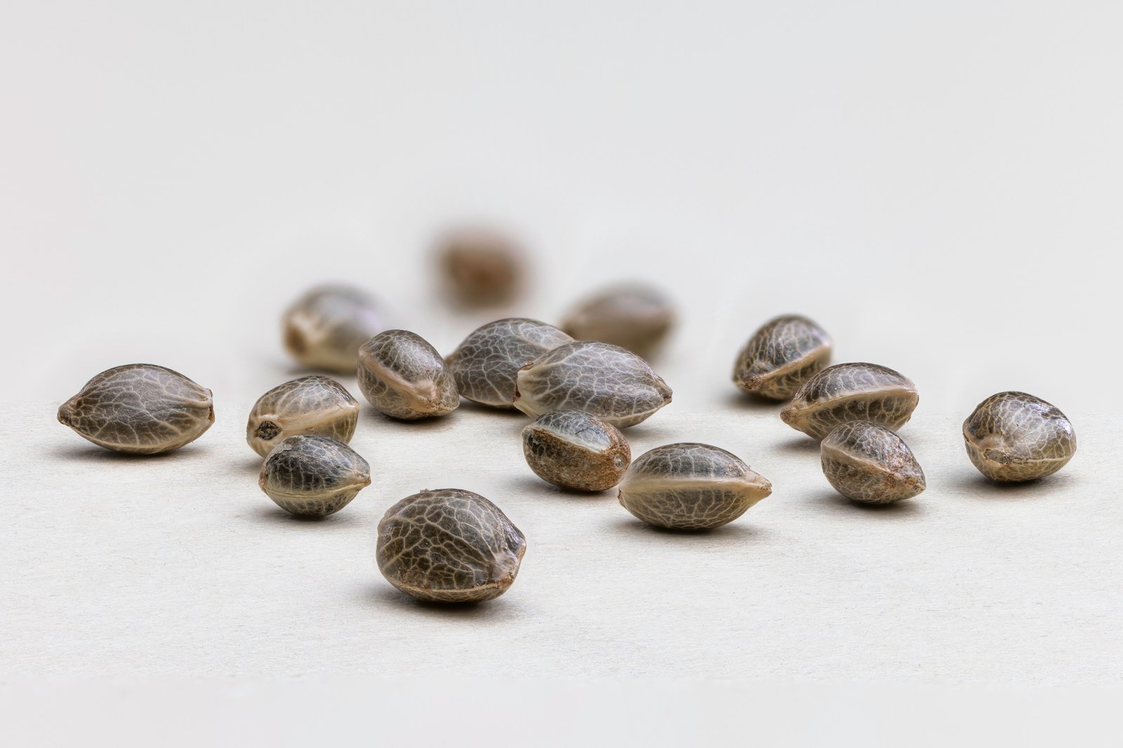 Scattered cannabis seeds with shallow depth of field on beige background.