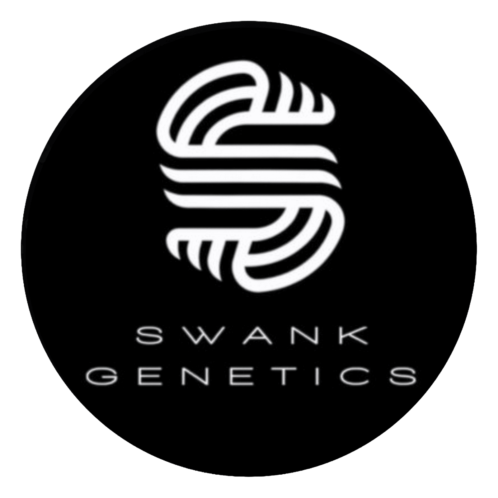 Swank-Logo
