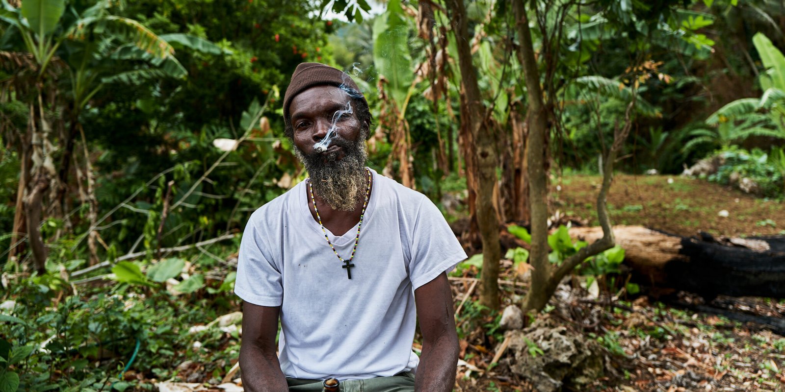 Portrait of a Jamaican man smoking a joint sitting in a clear cut jungle.