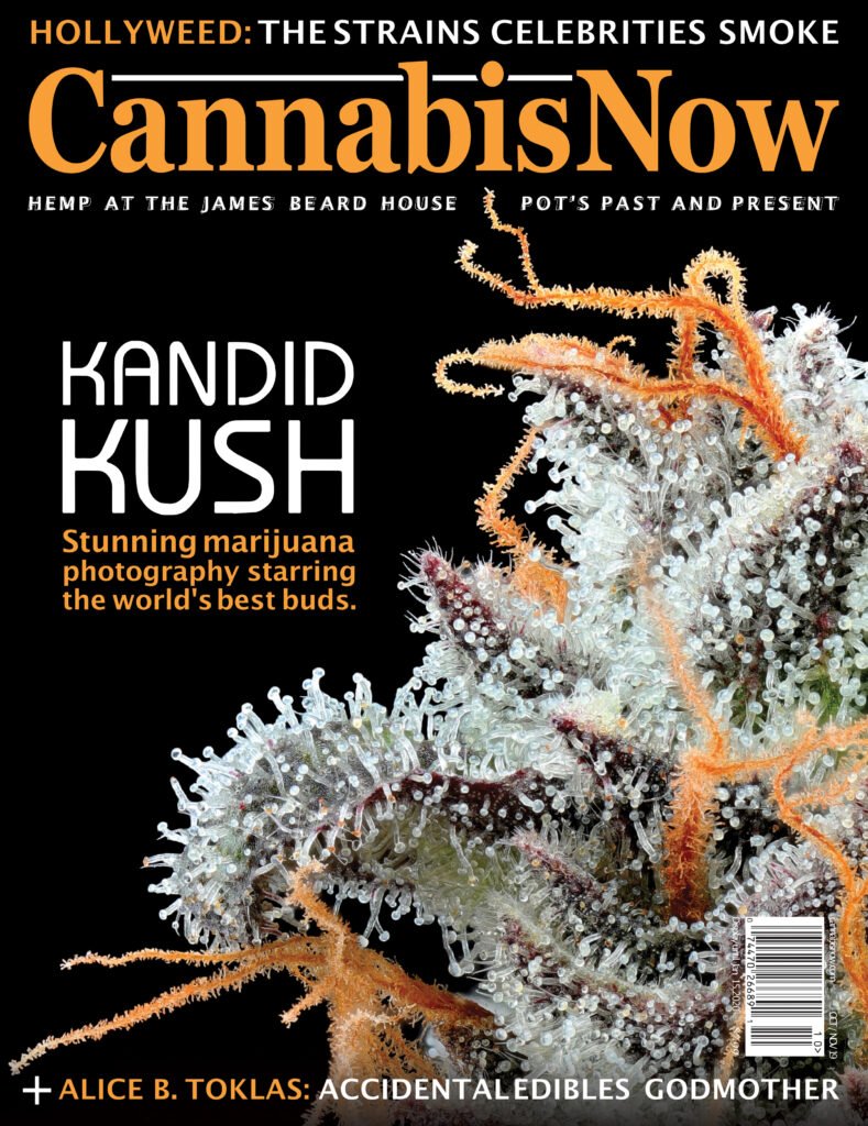 Cannabis Now Kandid Kush Cover story