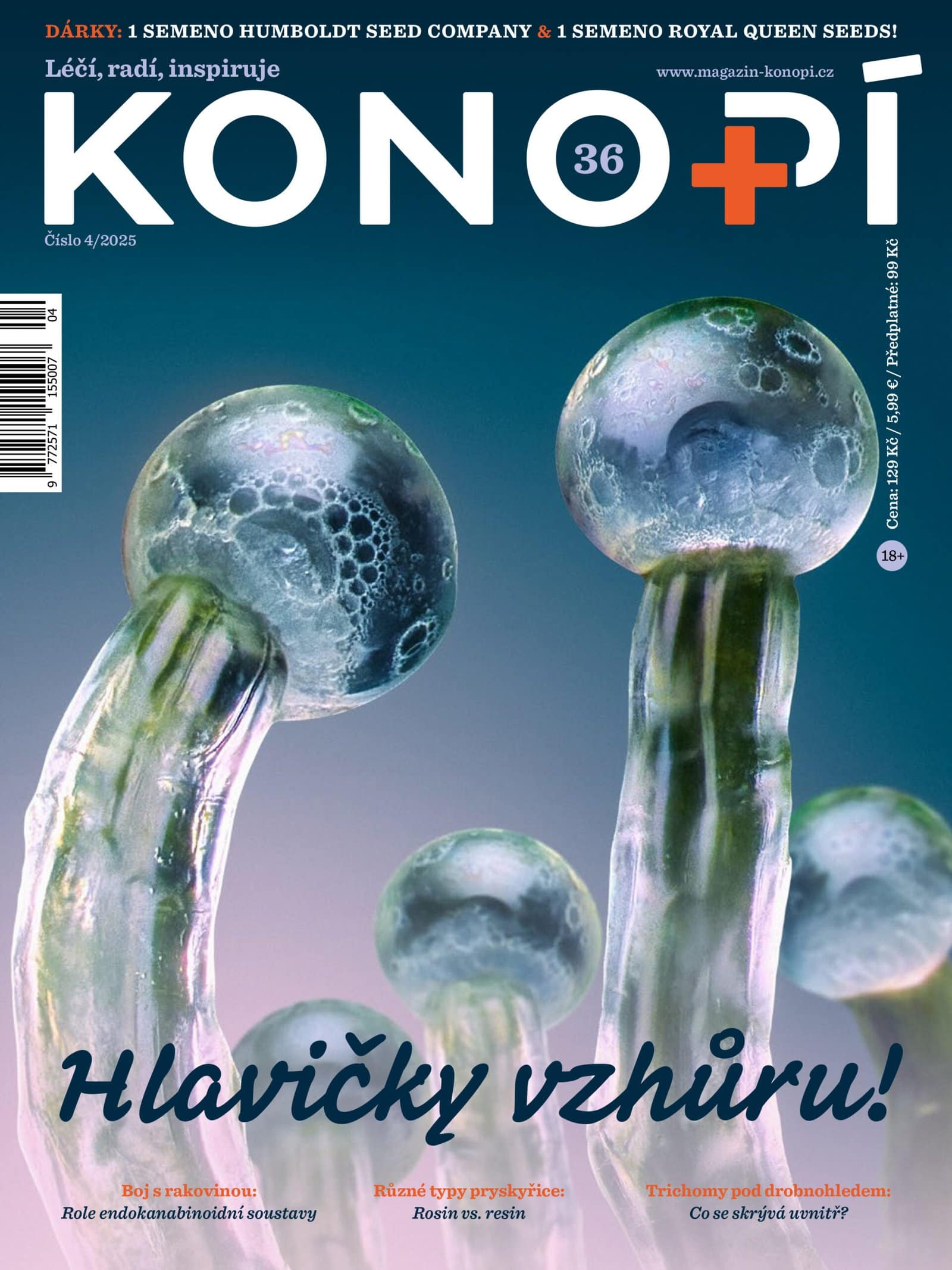 Konopi_mag_36