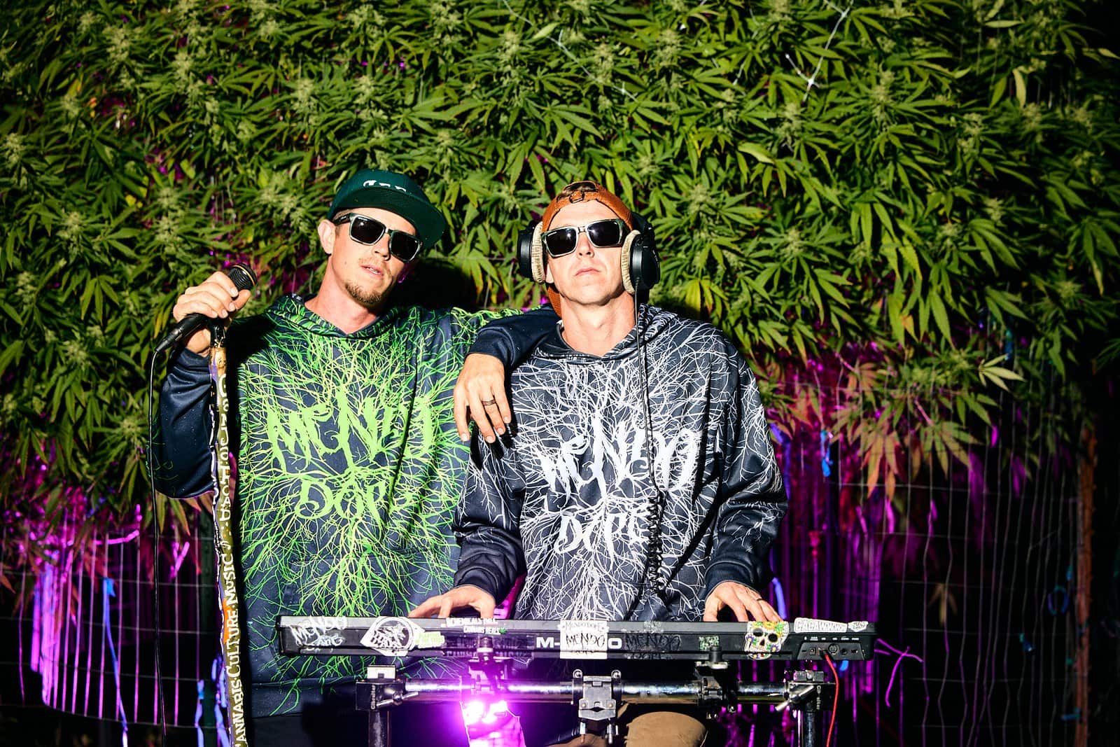 Mendo Dope Boys in garden with large cannabis plant as backdrop